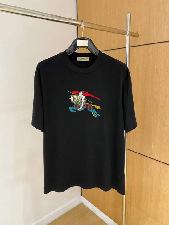 Picture of Burberry T Shirts Short _SKUBurberryS-2XLxetr13019769
